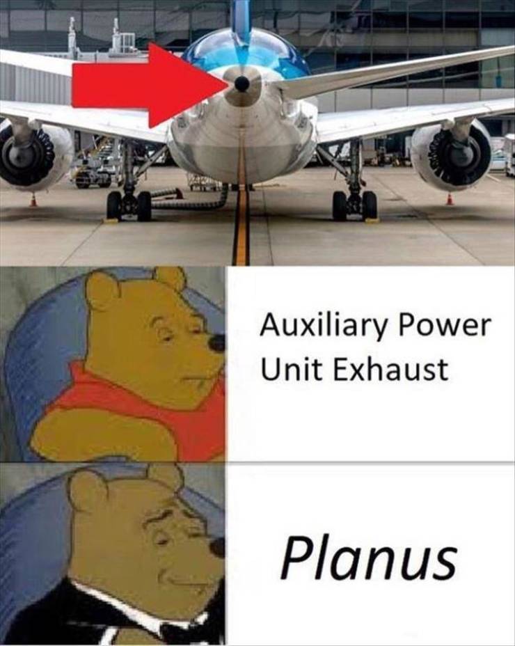 winnie the pooh planus meme - Auxiliary Power Unit Exhaust Planus