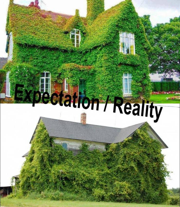 most beautiful gardens in homes - Expectation Reality