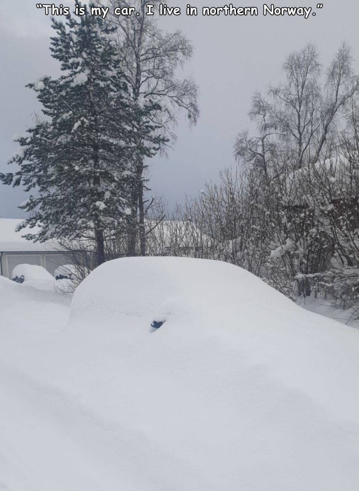 snow - "This is my car. I live in northern Norway."