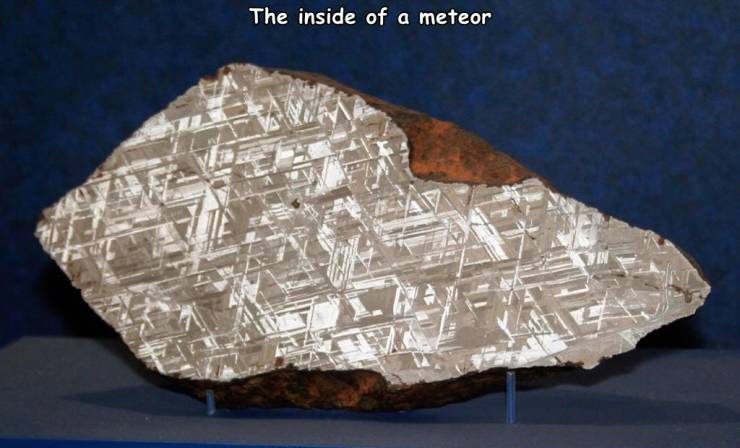 cool pics - meteorite cut in half - The inside of a meteor