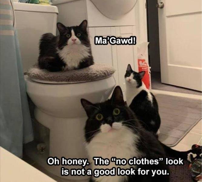 Cat - Ma'Gawd! Oh honey. The no clothes" look is not a good look for you.