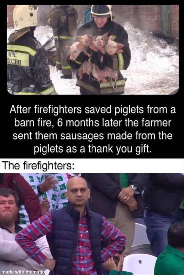disappointed muhammad sarim akhtar meme - After firefighters saved piglets from a barn fire, 6 months later the farmer sent them sausages made from the piglets as a thank you gift. The firefighters made with mematic