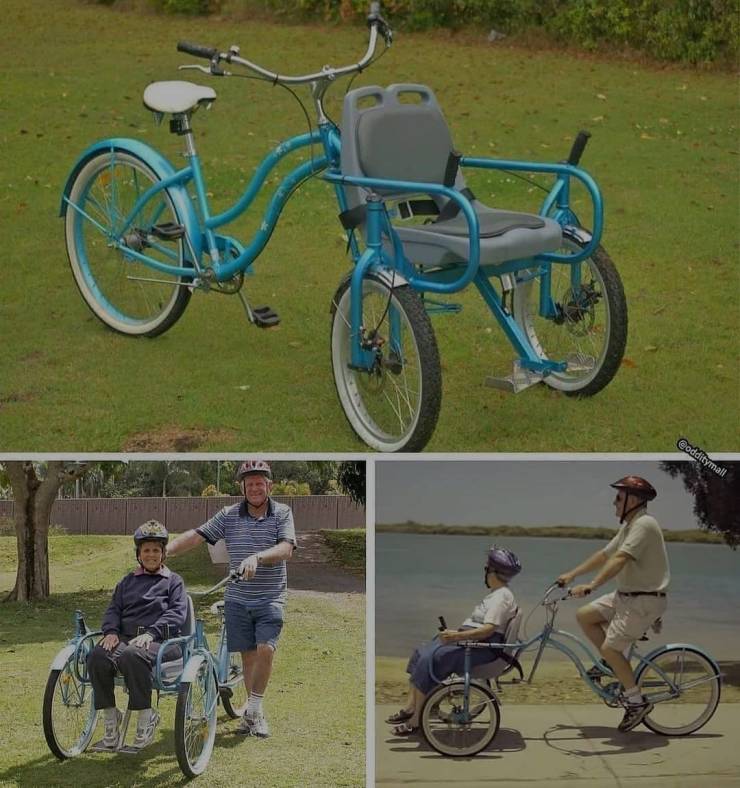 bike chair - odditymall