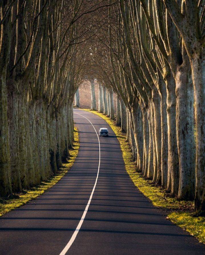 tree tunnel france