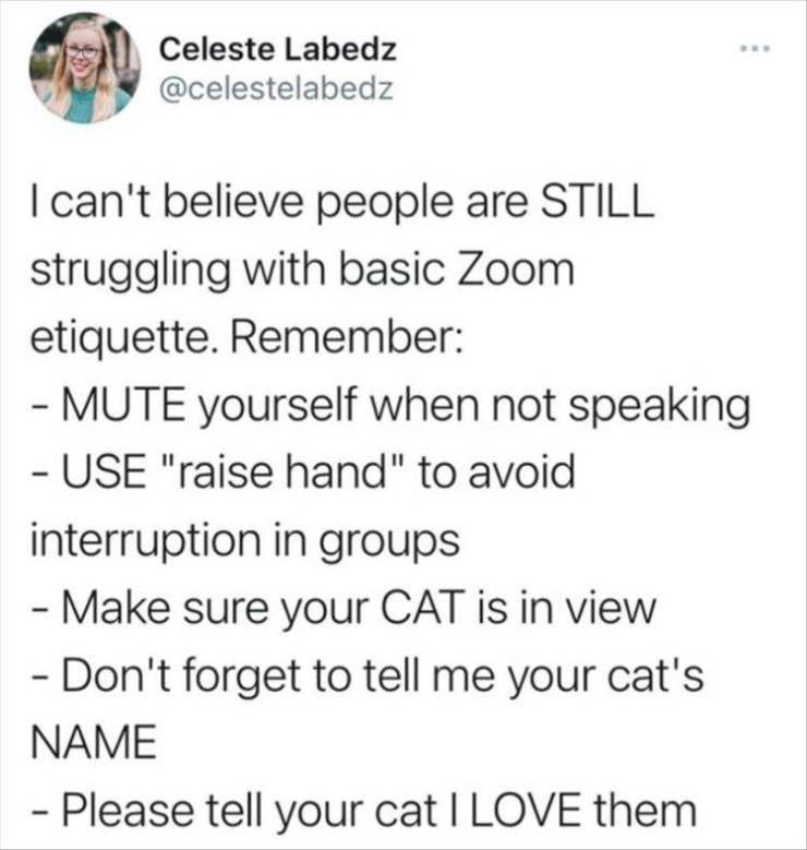 leave the peach cobbler alone - Celeste Labedz I can't believe people are Still struggling with basic Zoom etiquette. Remember Mute yourself when not speaking Use "raise hand" to avoid interruption in groups Make sure your Cat is in view Don't forget to t