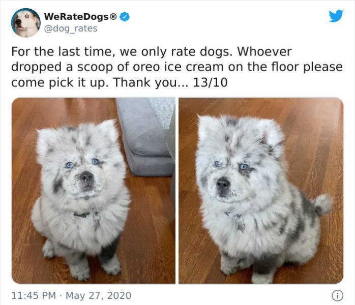 weratedogs - WeRateDogs For the last time, we only rate dogs. Whoever dropped a scoop of oreo ice cream on the floor please come pick it up. Thank you... 1310