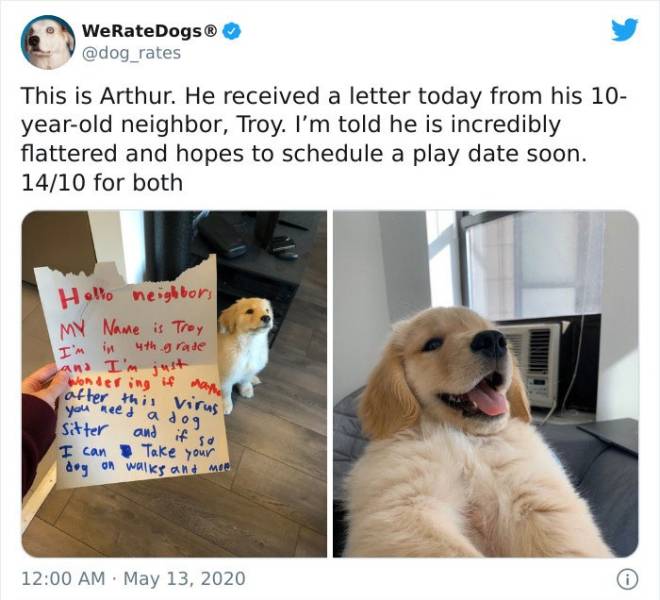 dog - WeRateDogs This is Arthur. He received a letter today from his 10 yearold neighbor, Troy. I'm told he is incredibly flattered and hopes to schedule a play date soon. 1410 for both Hello neighbor My Name is Troy I'm in 4th grade and I'm just Wonderin