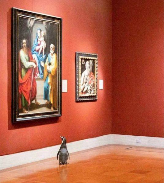 penguins in art gallery