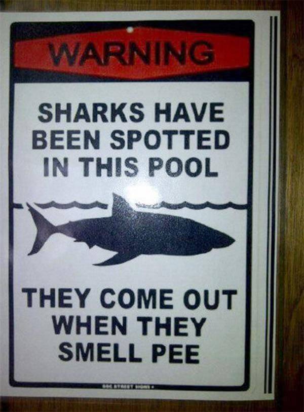 sea life manly sanctuary - Warning Sharks Have Been Spotted In This Pool They Come Out When They Smell Pee