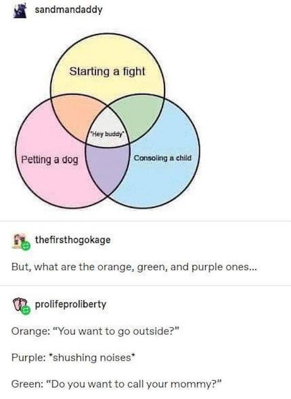 funny tumblr comments 2020 - sandmandaddy Starting a fight Hey buddy Petting a dog Consoling a child thefirsthogokage But, what are the orange, green, and purple ones... prolifeproliberty Orange "You want to go outside?" Purple shushing noises Green "Do y