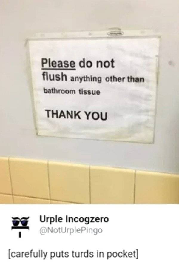 paper - Please do not flush anything other than bathroom tissue Thank You Urple Incogzero carefully puts turds in pocket