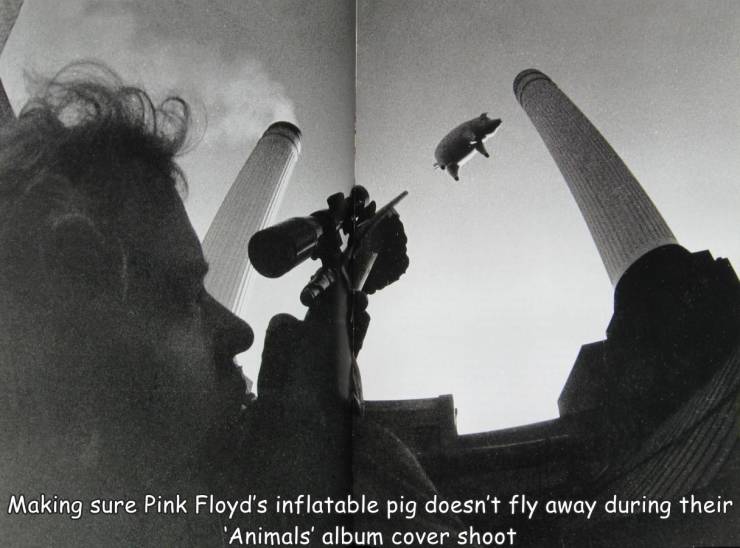Making sure Pink Floyd's inflatable pig doesn't fly away during their 'Animals' album cover shoot