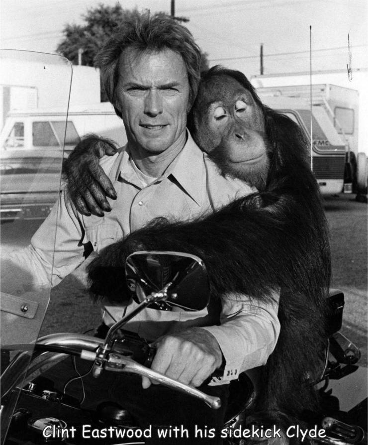 car - Clint Eastwood with his sidekick Clyde