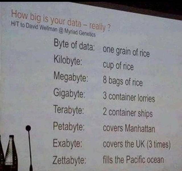 cool random pics - document - How big is your data really? Hit to David Wellman Myned Genetics Byte of data one grain of rice Kilobyte cup of rice Megabyte 8 bags of rice Gigabyte 3 container lorries Terabyte 2 container ships Petabyte covers Manhattan Ex