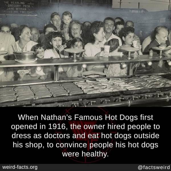 Nathan's Famous - The Yearling Gregory Peck Jane Wymans When Nathan's Famous Hot Dogs first opened in 1916, the owner hired people to dress as doctors and eat hot dogs outside his shop, to convince people his hot dogs were healthy. weirdfacts.org