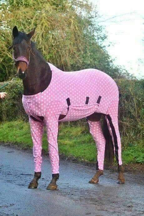 horse onesie