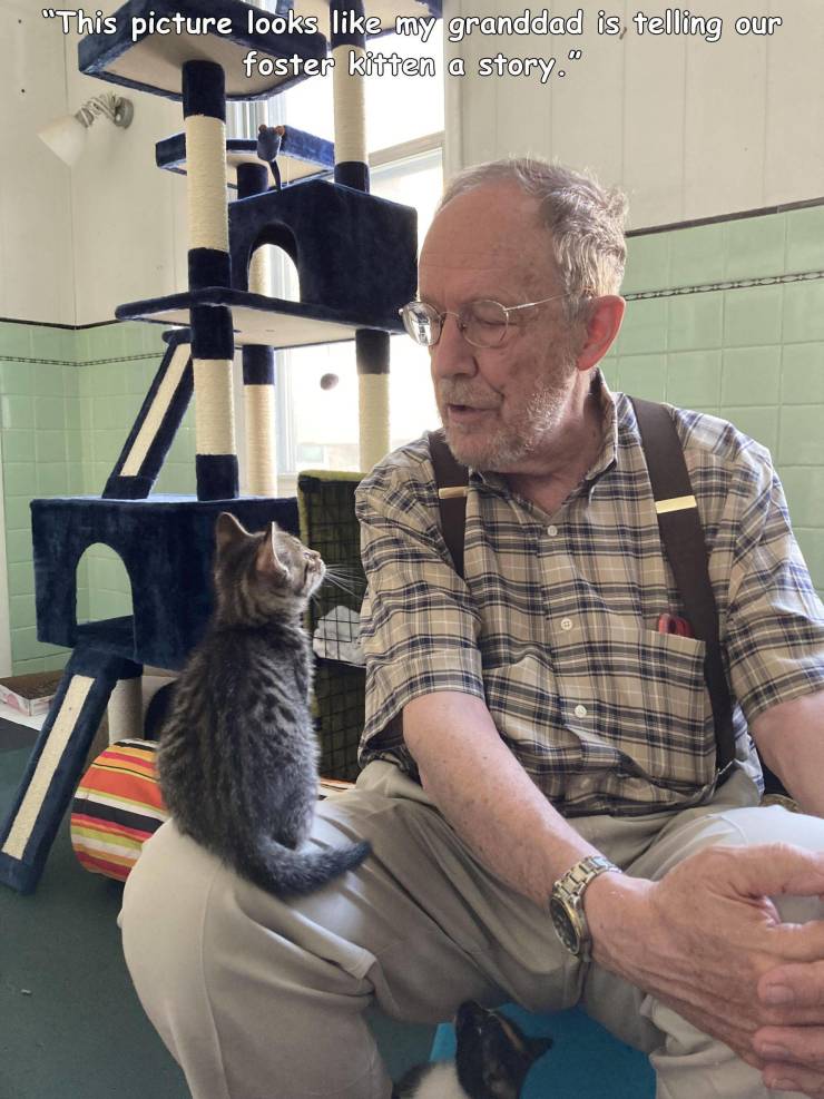 human behavior - our "This picture looks my granddad is telling foster kitten a story."