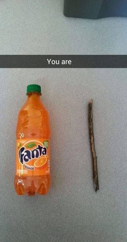 fanta - You are fanta Orange