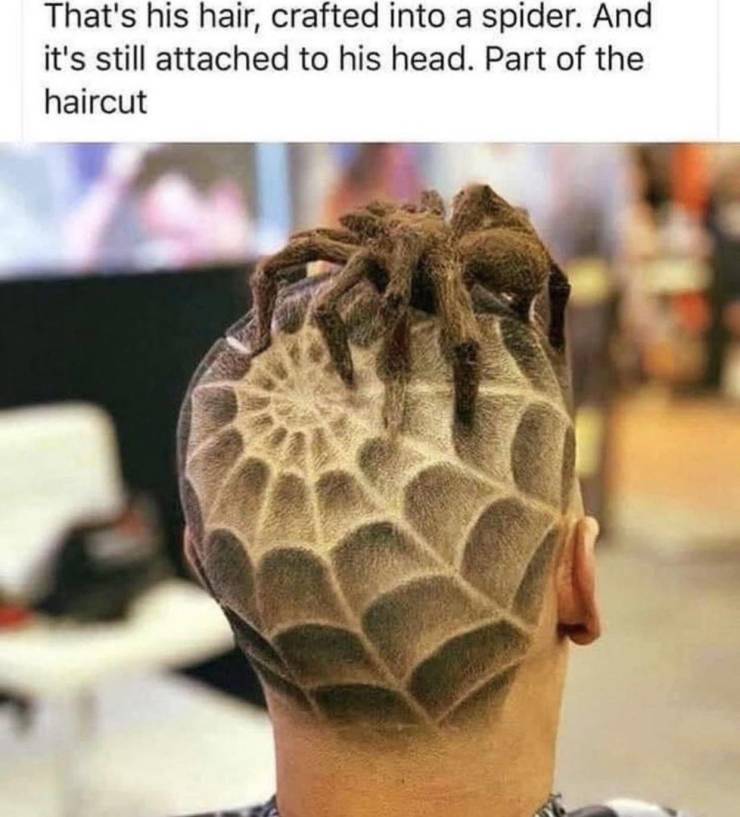 back taper designs - That's his hair, crafted into a spider. And it's still attached to his head. Part of the haircut