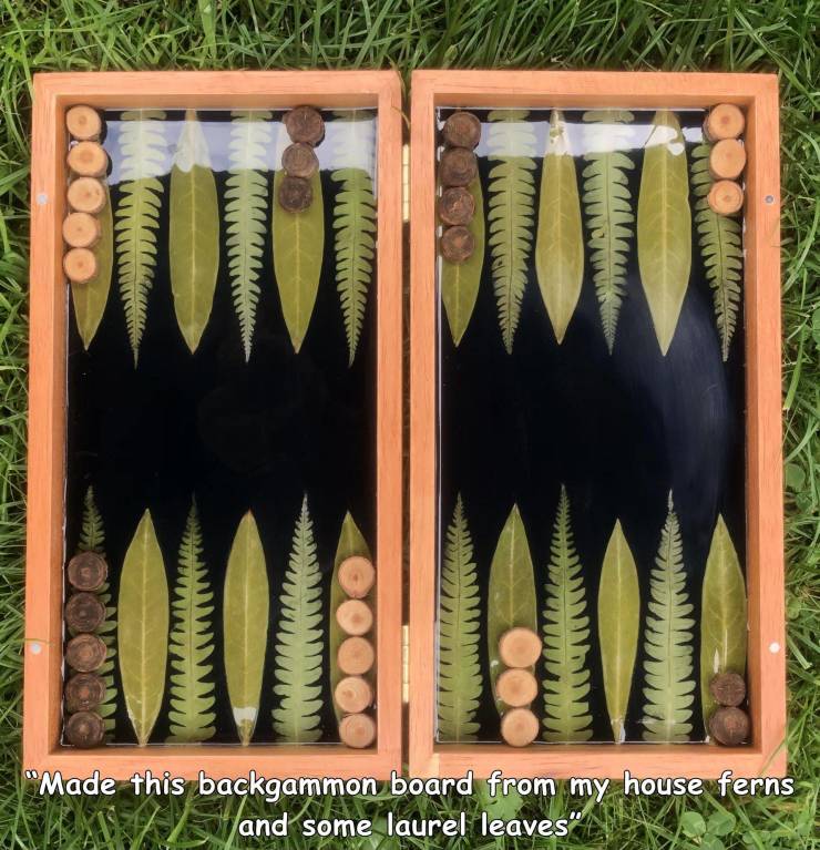 tree - "Made this backgammon board from my house ferns and some laurel leaves"
