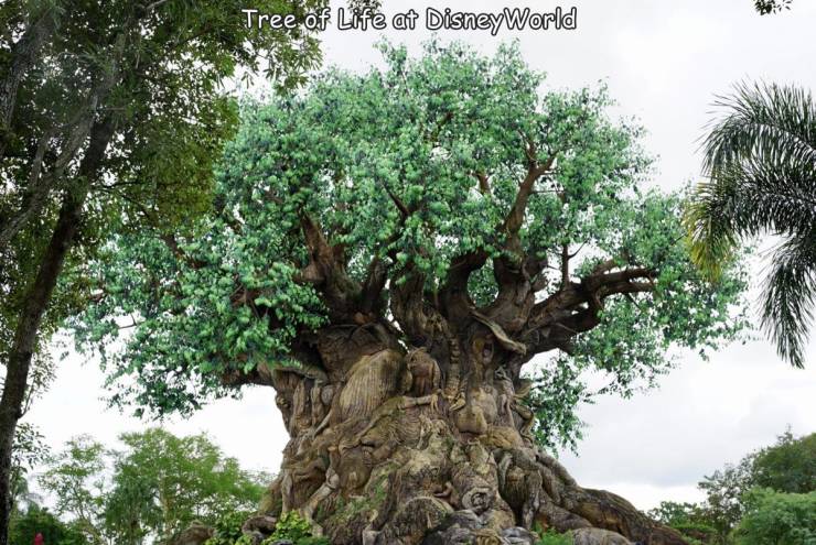 disney world, the tree of life - Tree of Life at Disney World