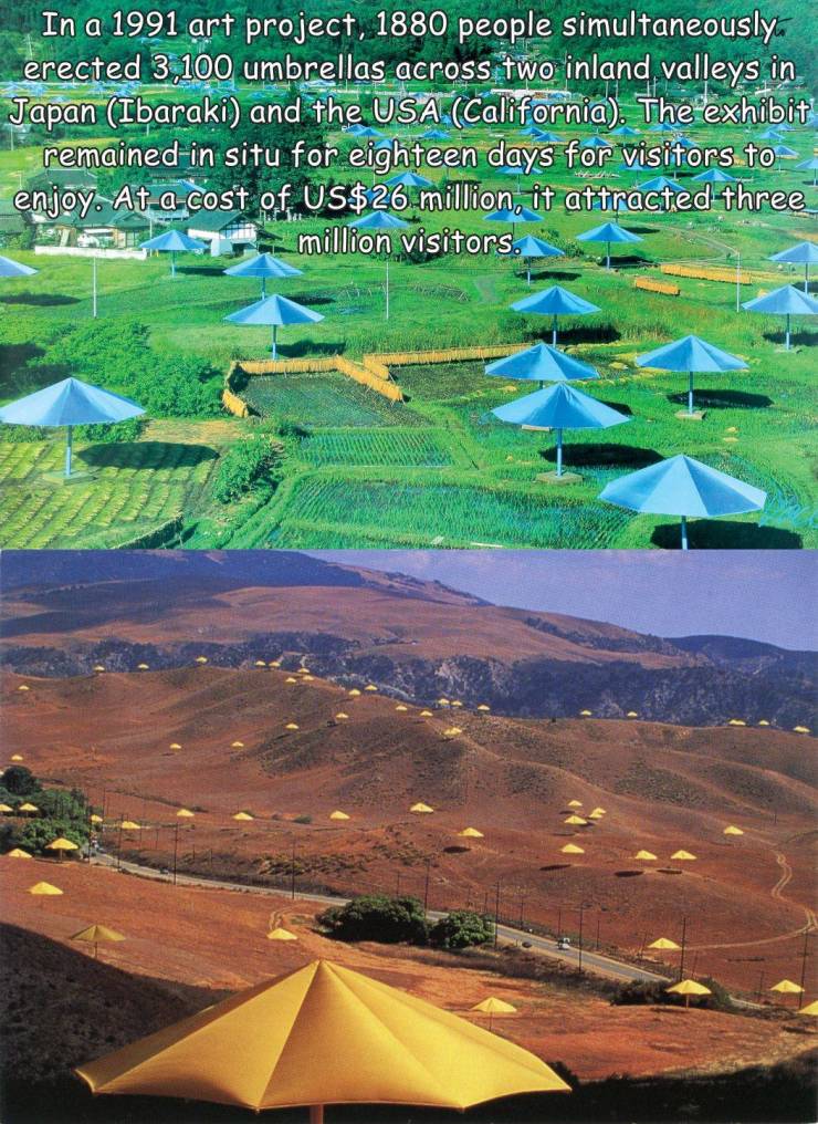 christo umbrellas california - In a 1991 art project, 1880 people simultaneously. erected 3,100 umbrellas across two inland valleys in Japan Ibaraki and the Usa California. The exhibit remainedin situ for eighteen days for visitors to enjoy. At a cost of