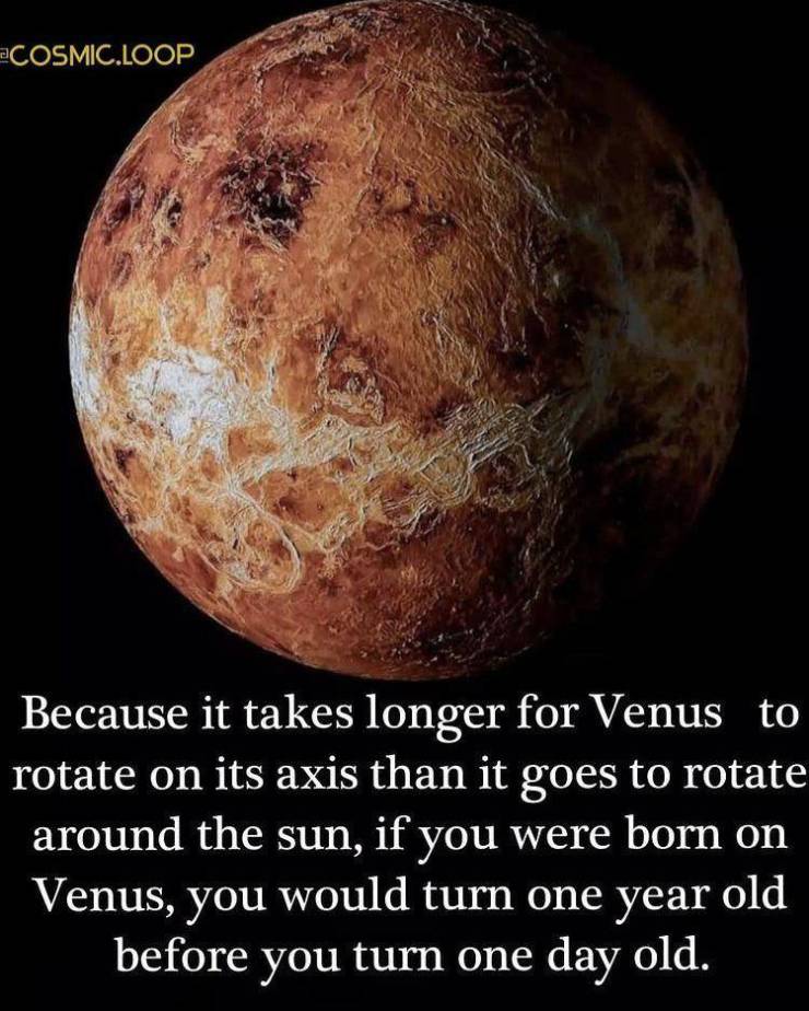 random funny and cool pics - venus aesthetic - Cosmic.Loop Because it takes longer for Venus to rotate on its axis than it goes to rotate around the sun, if you were born on Venus, you would turn one year old before you turn one day old.