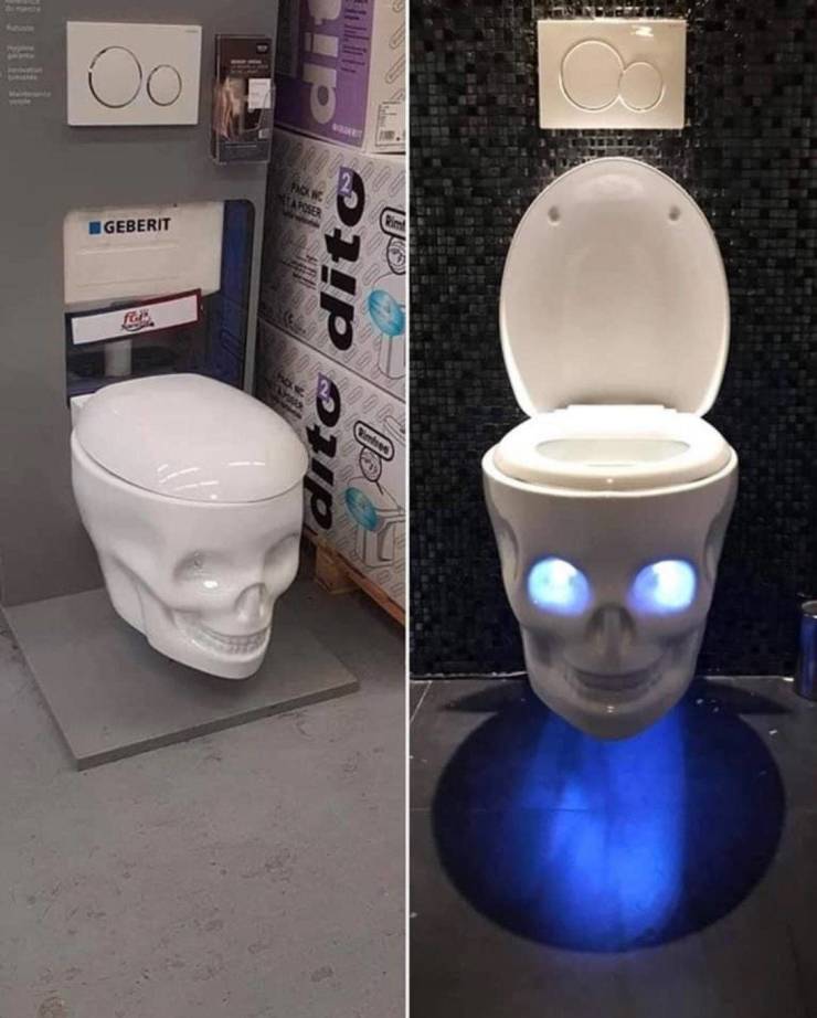 geberit skull toilet