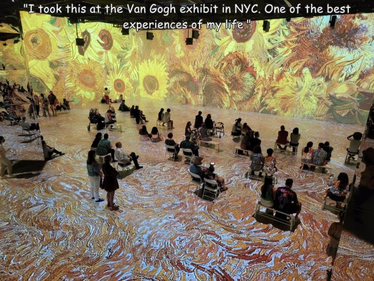 art - "I took this at the Van Gogh exhibit in Nyc. One of the best experiences of my life."
