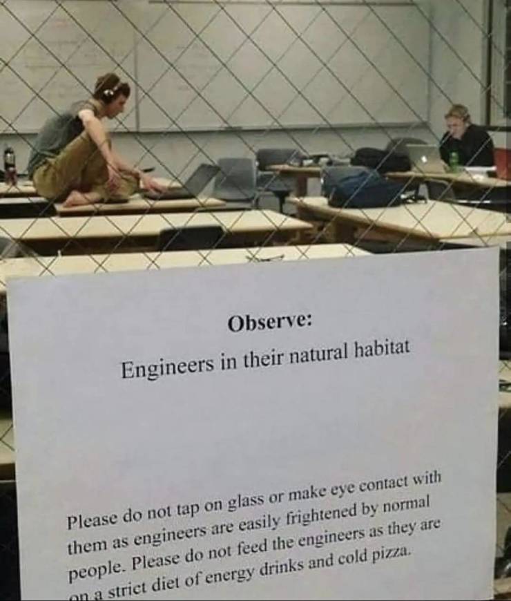 engineers in their natural habitat - Observe Engineers in their natural habitat Please do not tap on glass or make eye contact with them as engineers are easily frightened by normal people. Please do not feed the engineers as they are on a strict diet of 