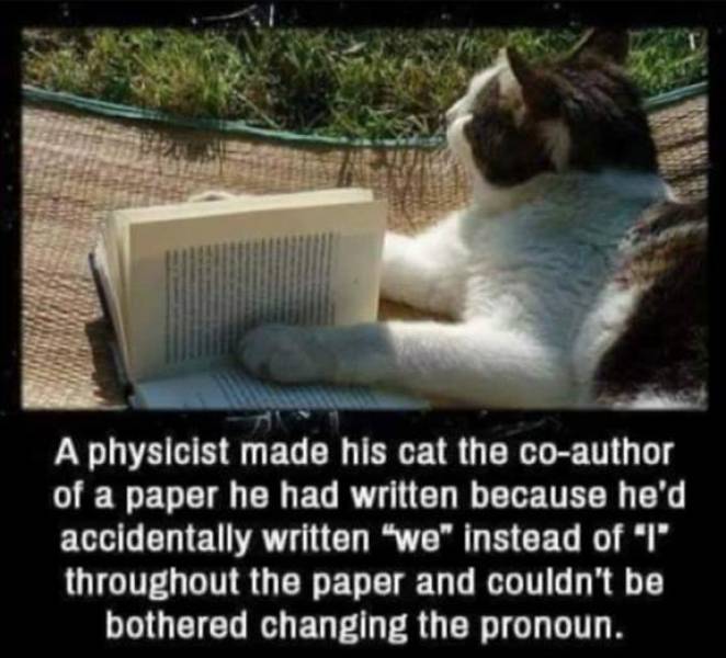 Cat - A physicist made his cat the coauthor of a paper he had written because he'd accidentally written "we" instead of "T" throughout the paper and couldn't be bothered changing the pronoun.