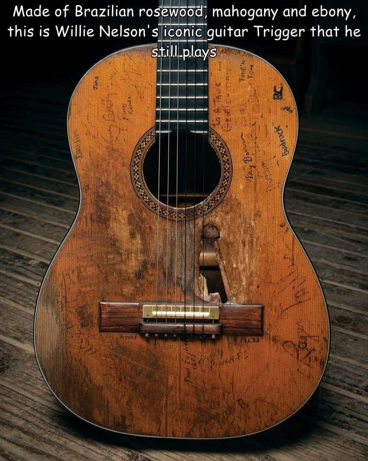 willie nelson guitar - Made of Brazilian rosewood, mahogany and ebony, this is Willie Nelson's iconic guitar Trigger that he still plays Tunen Tom Joha Corte 304 Gudruck poca 1.1.13 For Www