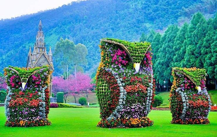amazing images - esculturas de flores