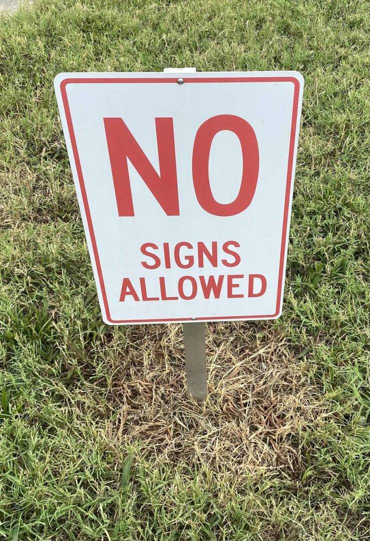 amazing images - grass - No Signs Allowed