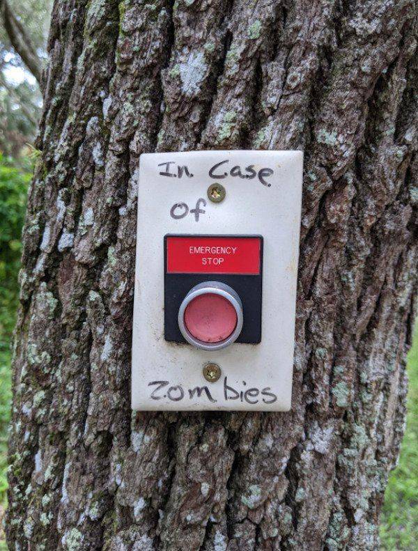 tree - In Case Of Emergency Stop zombies