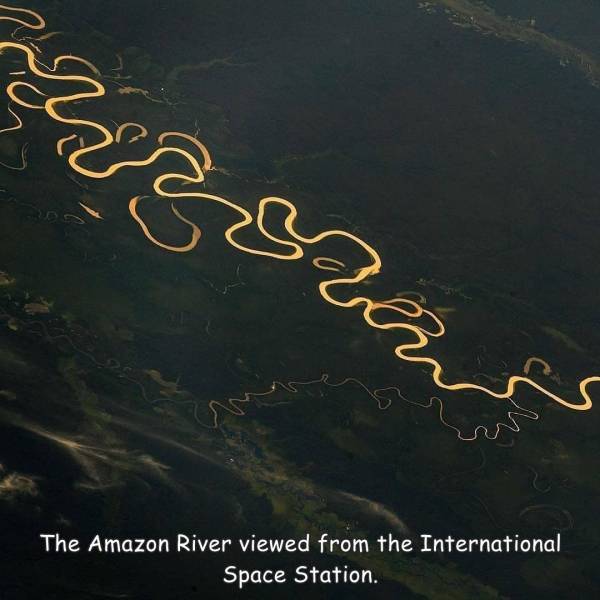 funny pics - funny memesWebu an The Amazon River viewed from the International Space Station