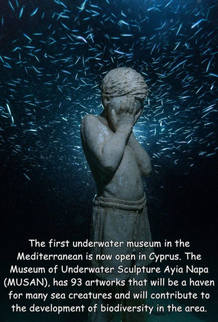 funny pics - funny memesunder water museum ayia napa - The first underwater museum in the Mediterranean is now open in Cyprus. The Museum of Underwater Sculpture Ayia Napa Musan, has 93 artworks that will be a haven for many sea creatures and will contrib