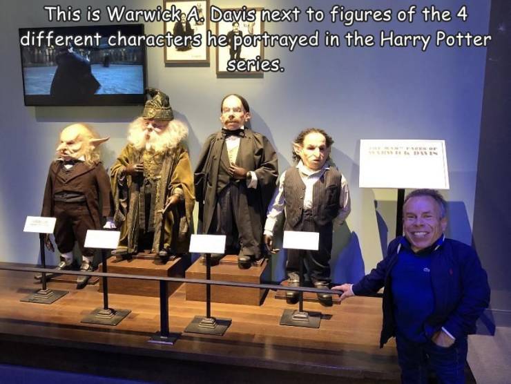 funny photos - warwick davis harry potter roles - This is Warwick A. Davis next to figures of the 4 different characters he portrayed in the Harry Potter series.