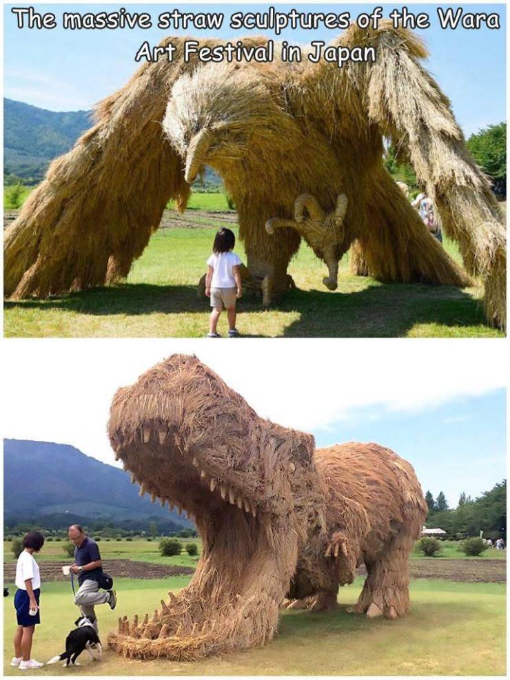 funny photos - dinosaurs that look real - The massive straw sculptures of the Wara Art Festival in Japan