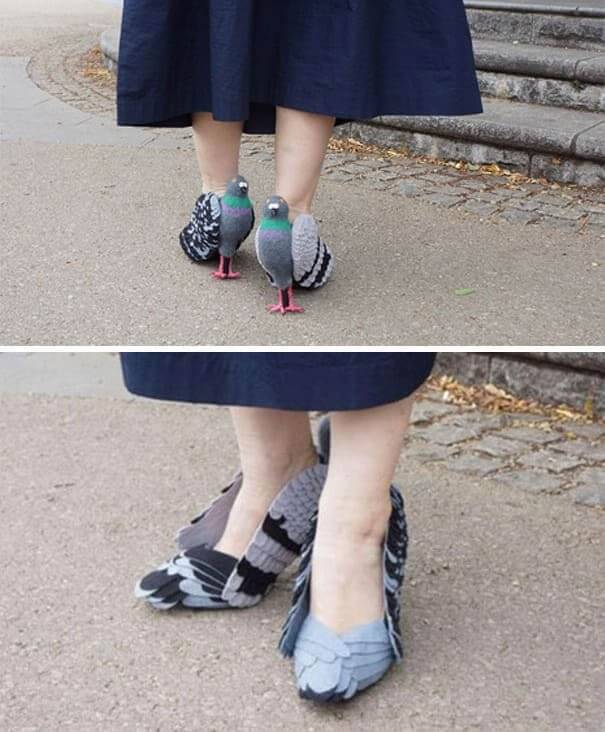 funny photos - pigeon shoes