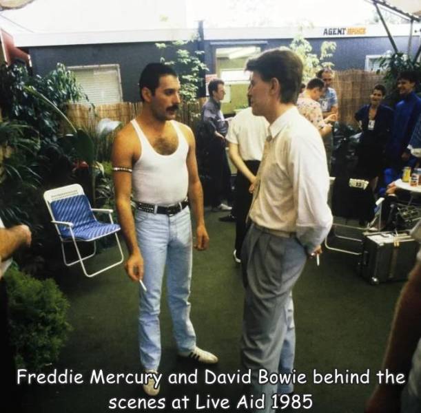 fun randoms - cool photos - david bowie and freddie mercury - Agent 37 Freddie Mercury and David Bowie behind the scenes at Live Aid 1985