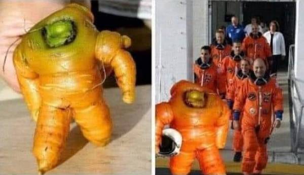 fun randoms - cool photos - carrot astronaut