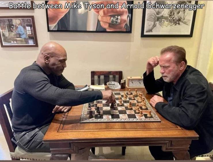 fun pics - randoms - mike tyson arnold schwarzenegger chess - Battle between Mike Tyson and Arnold Schwarzenegger Sas