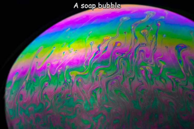 fun pics - randoms - marine biology - A soap bubble