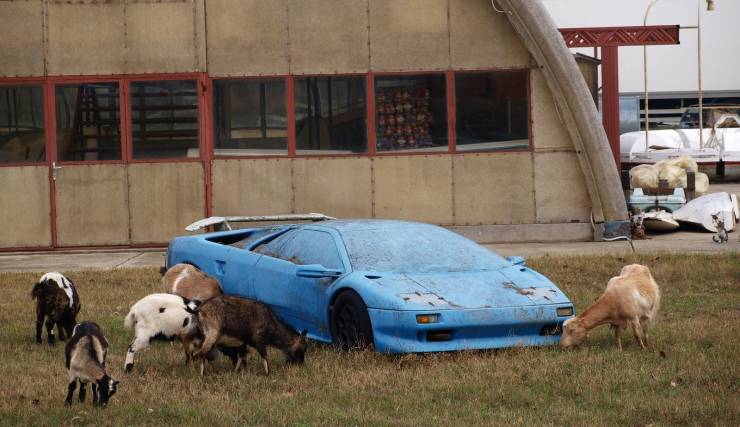 epic photos - abandoned cars