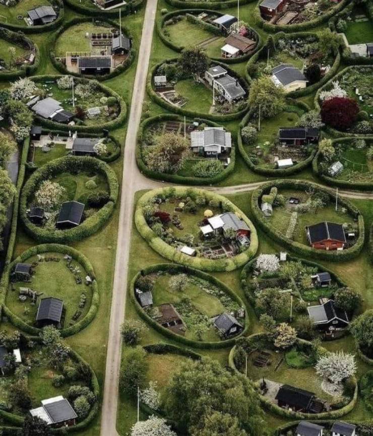 epic photos - circular hedges denmark