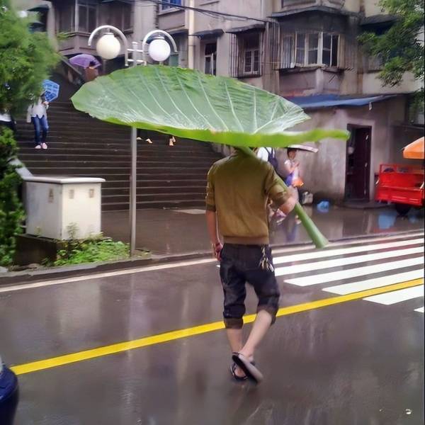 totoro leaf umbrella