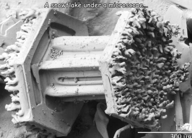 snowflake under a microscope - A snowflake under a microscope... 1337 300 un