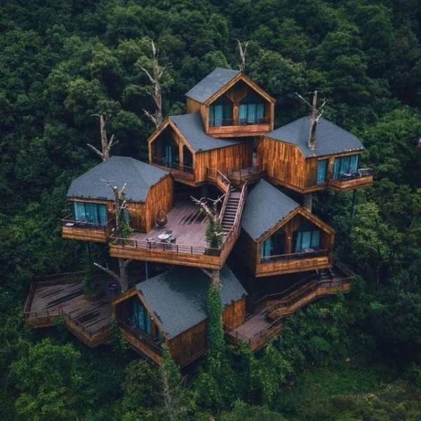 multi level tree house