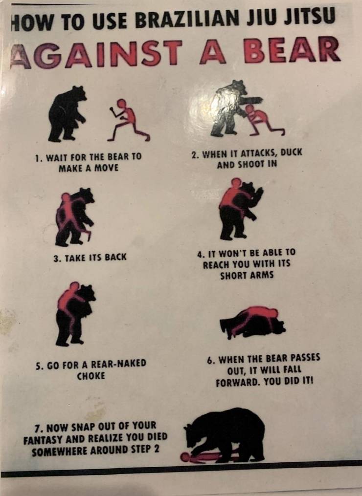 brazilian jiu jitsu bear - How To Use Brazilian Jiu Jitsu Against A Bear 1. Wait For The Bear To Make A Move 2. When It Attacks, Duck And Shoot In 3. Take Its Back 4. It Won'T Be Able To Reach You With Its Short Arms 5. Go For A RearNaked Choke 6. When Th